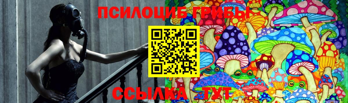 Псилоцибиновые грибы мицелий  Вход с VPN  Мурманск 