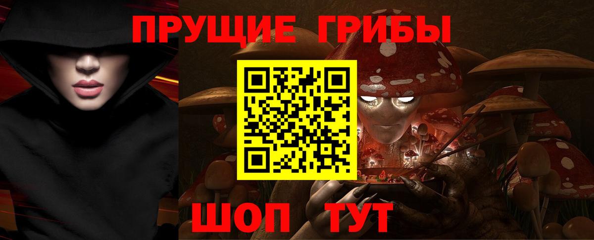 Галлюциногенные грибы Psilocybe Мурманск